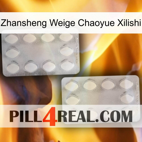 Zhansheng Weige Chaoyue Xilishi 17.jpg